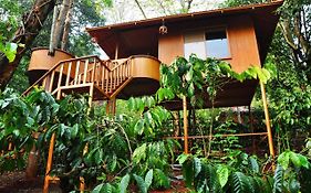 Planet Green Plantation Resorts, Wayanad, Kerala